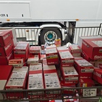 Schroeven En Pluggen Ca 55 Dozen Fischer, Partij